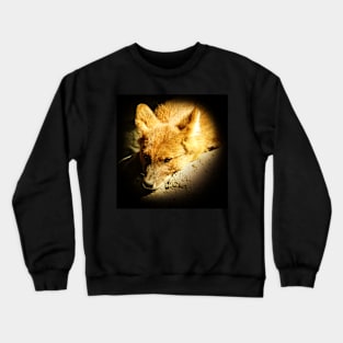 Dhole-Asian wild dog Crewneck Sweatshirt